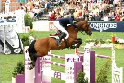 Comment s'appelle cet obstacle ? ! (Kevin Staut et Kraque Boom)