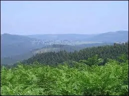 Lequel de ces reliefs est  la fois franais, luxembourgeois et belge.