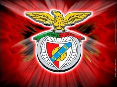 Combien de finale(s) de Ligue des champions le Benfica a-t-il perdue(s) ?