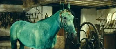 Vous connaissez certainement le film La Jument verte adapt du livre de Marcel Aym. Qui en tait l'acteur principal ?