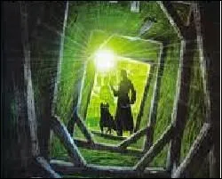 Cette srie a t crite par deux auteurs  partir de 2007 :