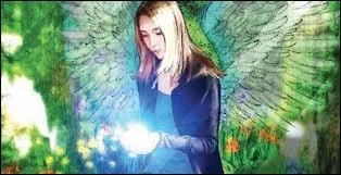 Ils ont crits par le mme auteur :