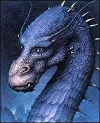 Ces livres ont t crits par un jeune auteur  partir de 2002. Quels sont-ils ?