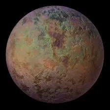 Les Hutt sont originaires de cette plante. Comment se nomme t-elle ?