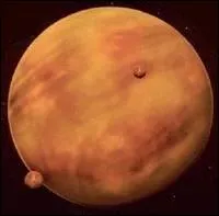 C'est sur cette plante que se situe le Cit des Nuages. C'est ?