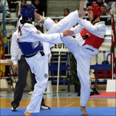 Qu'est-ce que le taekwondo ?