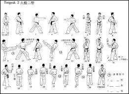 Comment s'appelle en taekwondo ce qu'on nomme le  kata  en karat ?