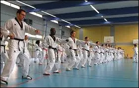 Combien le taekwondo compte-t-il de licencis dans le monde ?