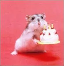 Les mles sont-ils plus sociables avec l'homme que les femelles ?