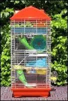 Quel est le strict minimum  mettre dans la cage de son hamster ?