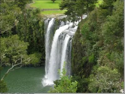 Le maori est-il une langue officielle de la Nouvelle-Zlande ?