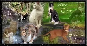 Comment se nomme les 4 clans ?