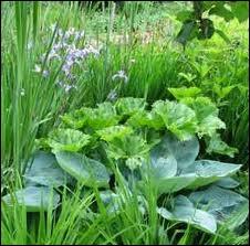 Dans la 1re Gnration, combien y a-t-il de Pokmons de type Plante ?