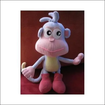 Le singe Babouche est le compagnon de :