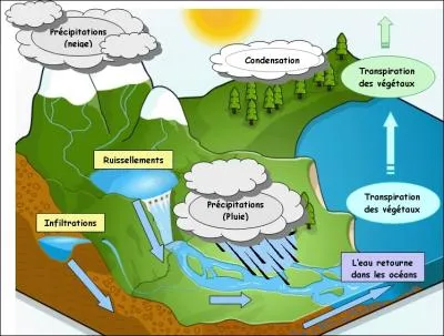 Quelle est la science qui s'intresse au cycle de l'eau ?