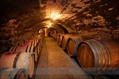 Maintenant il faut trouver le mot qui, dans le milieu ou au Qubec, dsigne une personne sans intelligence, et qu'on peut duper facilement :