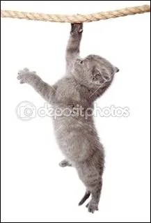 Larguez les amarres ! C'est une pice d'amarrage pour les bateaux :