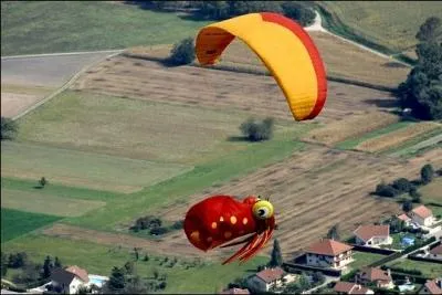 Qu'est-ce que c'est que ce comportement ? On ne jette pas d'encre en plein vol ! En parlant d'encre, il y a un crivain russe qui s'appelle :