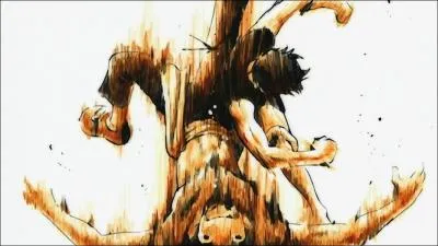 Qui est ce personnage que Luffy est en train de frapper ?