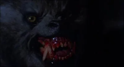 Vous aimez l'adrnaline, alors un petit conseil, baladez-vous donc  deux, dans la lande anglaise, un soir de pleine lune,  mon avis vous ne serez pas dus !