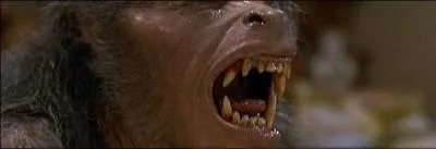 Dans ce film de Wes Craven, Ellie, Jimmy et Bo doivent trouver le loup-garou avant que le maldiction ne s'accomplisse !