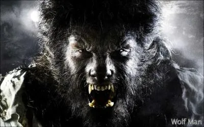 Lawrence Talbot revient au domaine familial, suite  la mort tragique de son frre, il apprend qu'une crature dmoniaque dcime les villageois du coin !