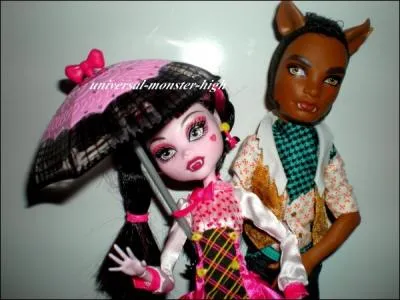 Le couple parfait est :