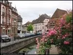 Je retourne en Alsace mais cette fois-ci je me rends  Wissembourg ( Bas-Rhin ). Cette ville est chef-lieu ...