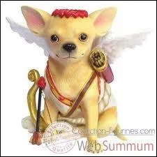 Quel est le caractre du chihuahua, mme s'il a une petite taille ?