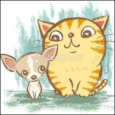 Lequel est un chihuahua sur cette image ?