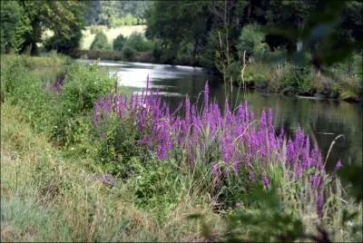 Quelle ville n'est PAS arrosée par la Somme ?