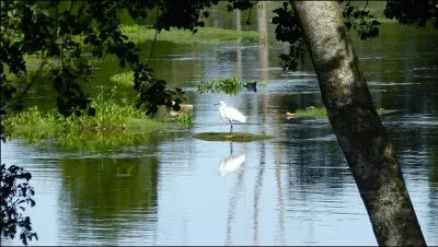 Quelle ville n'est PAS arrose par le Cher ?