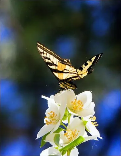 Prenez le parti de cette rponse !