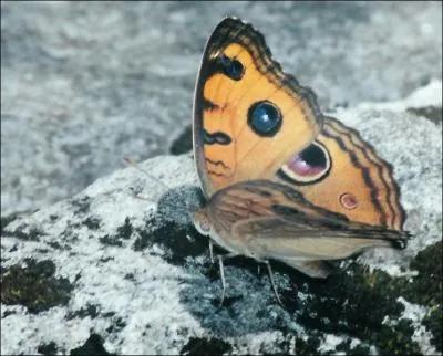 C'est une galit parfaite, alors il faut la respecter !