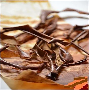 Tout le monde fait des tartes aux pommes. Pensez  conserver les pluchures que vous enfournerez avec du sucre et un peu de gingembre en poudre. Une fois sches, faites caramliser. Vous les servirez  :