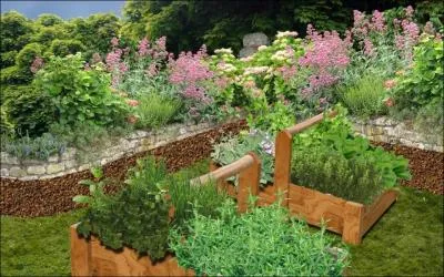 Un consomm li, aux herbes du jardin, doit se raliser avec soin, mais le rsultat est dlectable. Qu'est-ce qu'un consomm li ? Un potage  base :