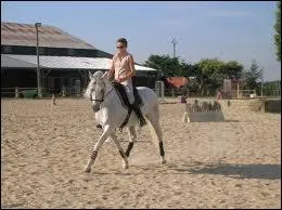 Une figure de dressage. Je vous demande de me dire comment elle s'appelle .