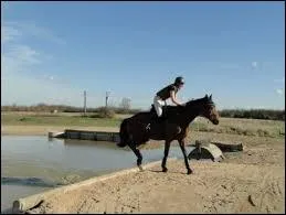 Voici un des passages en cross. Son nom est ...