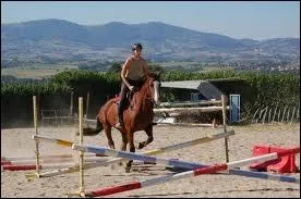 Quel type d'obstacle est montr sur la photo ?