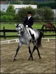 Maintenant, je vous en prsente une autre : laquelle ?