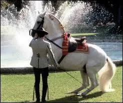 Puis, je vous en demande encore une, saurez-vous me la dire ?