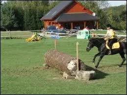 En cross, les cavaliers l'aiment bien :