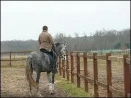 Voici une figure de dressage qui s'appelle ...