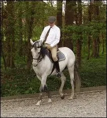 Et puis une autre nomme ... ?