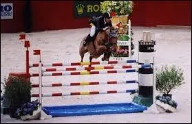 Voici un obstacle rencontr en CSO. Comment s'appelle-t-il ?