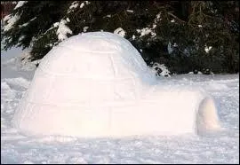 Cette maison est en :