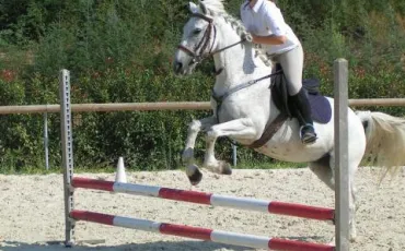 Quiz Galop 4