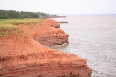 Quel animal voit-on sur le drapeau de l'le-du-Prince-Edouard ?