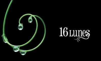 Et une dernire saga pour la route : qui a crit  16 lunes  ?