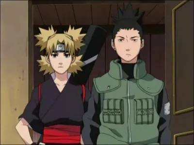 Quelle est la nature de la relation entre Shikamaru et Temari ?